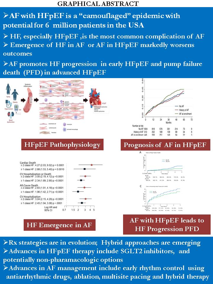 Journal of Cardiovascular Electrophysiology (@jcardioep) on Twitter photo 📌Checkout in <a href="/JCardioEP/">Journal of Cardiovascular Electrophysiology</a>
📷 "Atrial Fibrillation (AF) and Heart Failure With Preserved Ejection Fraction (HFpEF): Advances and Challenges" by <a href="/CardiacepPA/">Sanjeev Saksena</a> , April Slee, <a href="/RNagarakanti/">Randy Nagarakanti</a> , Atul Prakash
onlinelibrary.wiley.com/doi/10.1111/jc…
<a href="/DrBradleyKnight/">Bradley Knight</a> <a href="/hcg_md/">Hawkins Gay, MD, MPH</a> <a href="/GiacomoMugnai/">Giacomo Mugnai</a> <a href="/GrahamPeigh/">Graham Peigh, MD, MSc</a> 📌Checkout in <a href="/JCardioEP/">Journal of Cardiovascular Electrophysiology</a>
📷 "Atrial Fibrillation (AF) and Heart Failure With Preserved Ejection Fraction (HFpEF): Advances and Challenges" by <a href="/CardiacepPA/">Sanjeev Saksena</a> , April Slee, <a href="/RNagarakanti/">Randy Nagarakanti</a> , Atul Prakash
onlinelibrary.wiley.com/doi/10.1111/jc…
<a href="/DrBradleyKnight/">Bradley Knight</a> <a href="/hcg_md/">Hawkins Gay, MD, MPH</a> <a href="/GiacomoMugnai/">Giacomo Mugnai</a> <a href="/GrahamPeigh/">Graham Peigh, MD, MSc</a>