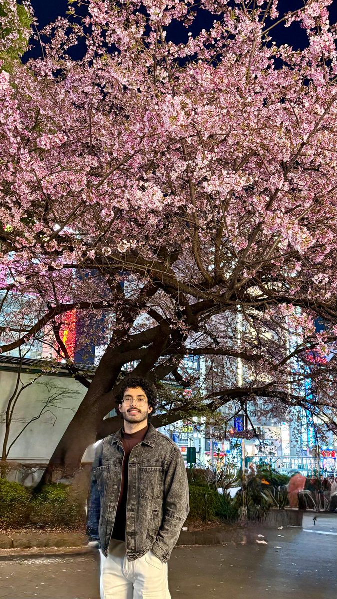 Its Sakura Season! #Japan #cherryblossom #SAKURACelestialBlossom #さくら