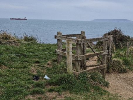 BBullrushes's tweet photo. A lovely week on the #JurassicCoast at beautiful #RingsteadBay. Sad to see so many dog walkers choose to dump their #litter in the bushes &amp; beside gate posts. 😠 35 bags of dog 💩 removed &amp; looks so much nicer now. #TakeYourRubbishHome @VisitDorset @swcoastpath @DorsetCouncilUK https://t.co/A5d2JRwRa4