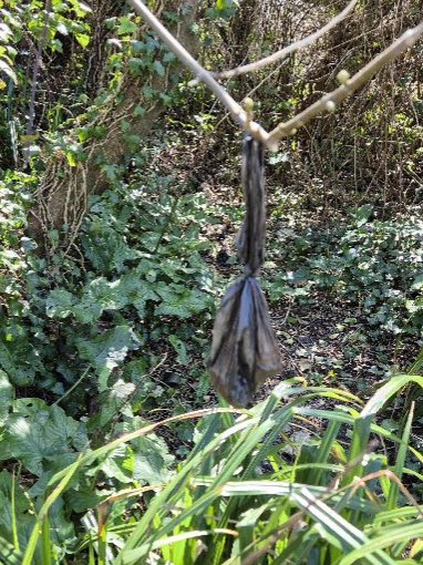 BBullrushes's tweet photo. A lovely week on the #JurassicCoast at beautiful #RingsteadBay. Sad to see so many dog walkers choose to dump their #litter in the bushes &amp; beside gate posts. 😠 35 bags of dog 💩 removed &amp; looks so much nicer now. #TakeYourRubbishHome @VisitDorset @swcoastpath @DorsetCouncilUK https://t.co/A5d2JRwRa4