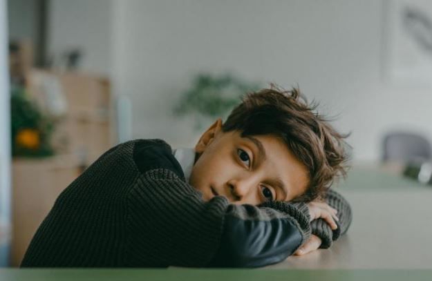 History Resource tweet media