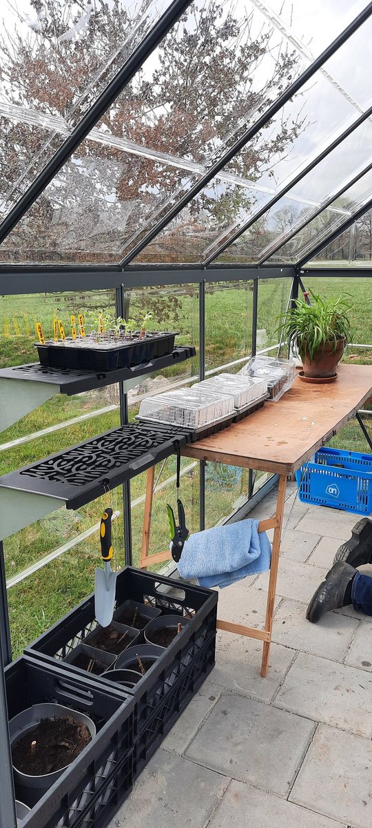 En de kas in gebruik genomen. Alleen nog een fijne werkbank/tafel maken. Nu de behang tafel maar neergezet ter vervanging. 
Woensdag op de markt wat kleine groenteplantjes scoren.
#Landleven #tuinieren #tuin #platteland #flora #Moestuin