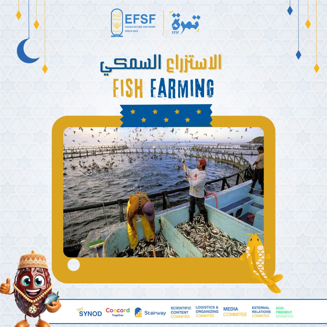 EFSF_1's tweet photo. 🤔 لو ناوي تدخل مجال #الاستزراع_السمكي، لازم تبقى عارف إن المخاطر فيه كبيرة! علشان تضمن #نجاح_مزرعتك، لازم توفر لها البيئة المثالية، وده بيعتمد على مجموعة عوامل أساسية، تعالي نشوفها!

🔹 أولًا: #جودة_المياه
💧 #نقاء_المياه: لازم تكون خالية من أي ملوثات كيميائية أو بيولوجية.
.
.
. https://t.co/dFggPWEcwb