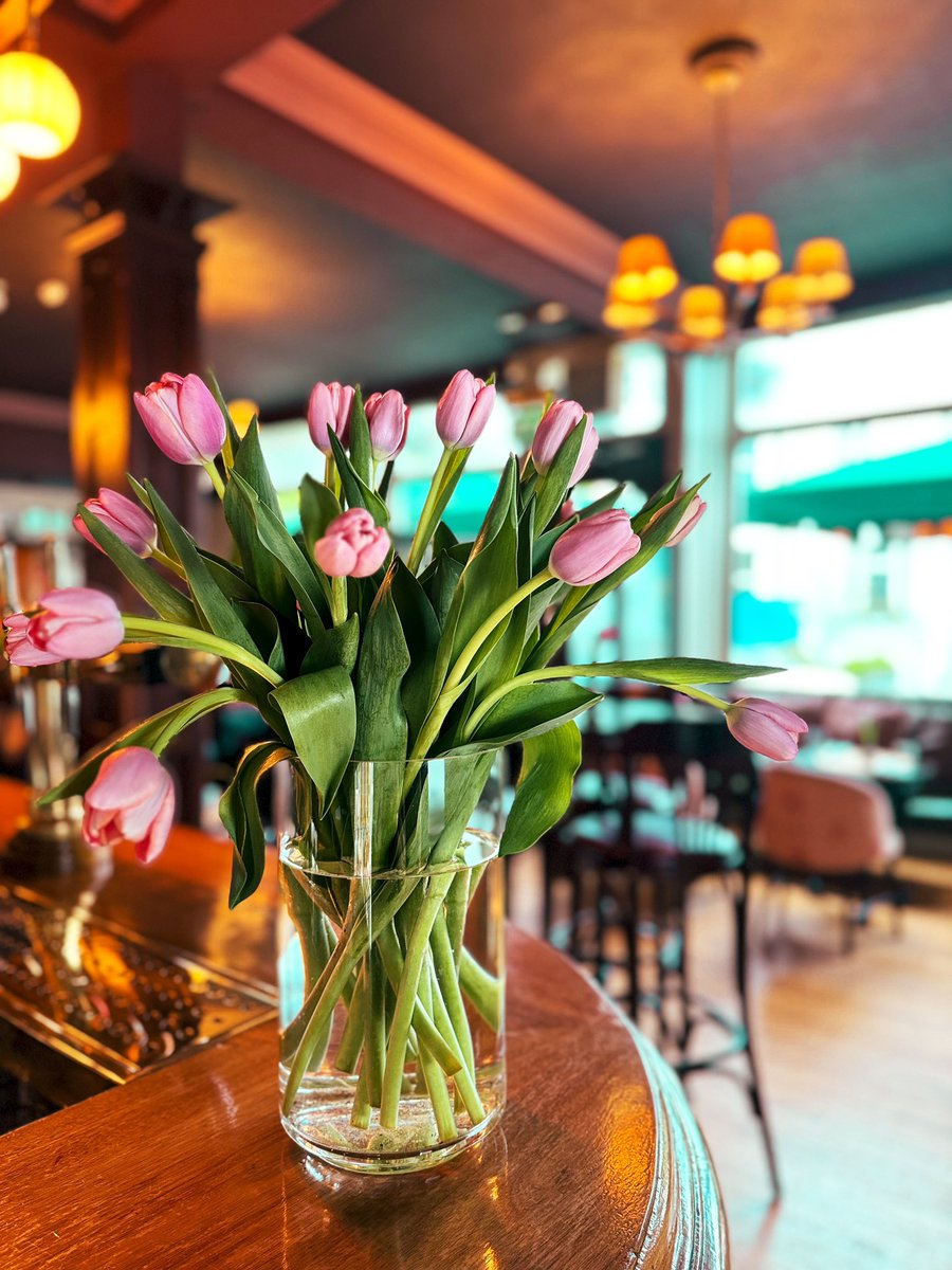 The Anglesea Arms tweet media