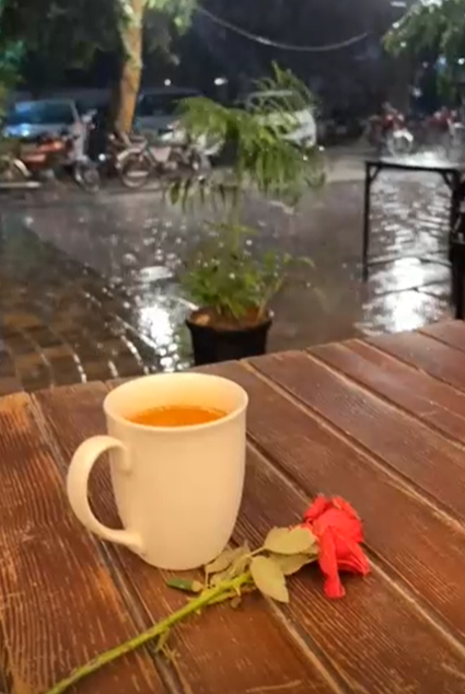 Rain, tea, and a half-bloomed rose… some moments are just meant to be felt. ☕🌧️🌹