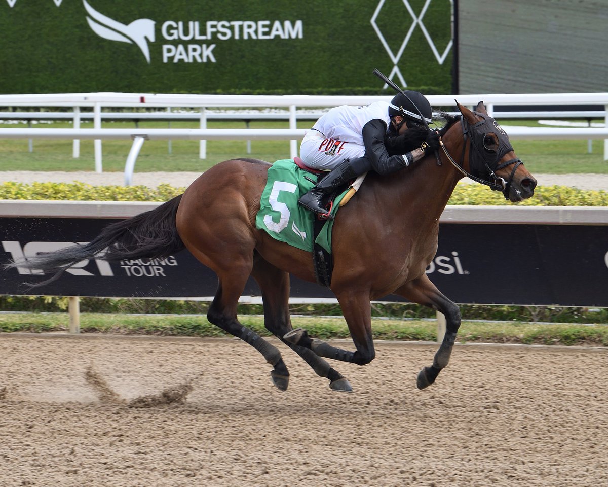 GulfstreamPark's tweet photo. He's a Daredevil gets the job done in the opener, @Josemorelos_ aboard for trainer @jenaantonucci. #GulfstreamPark #ChampionshipMeet https://t.co/9I9IM1gNUL