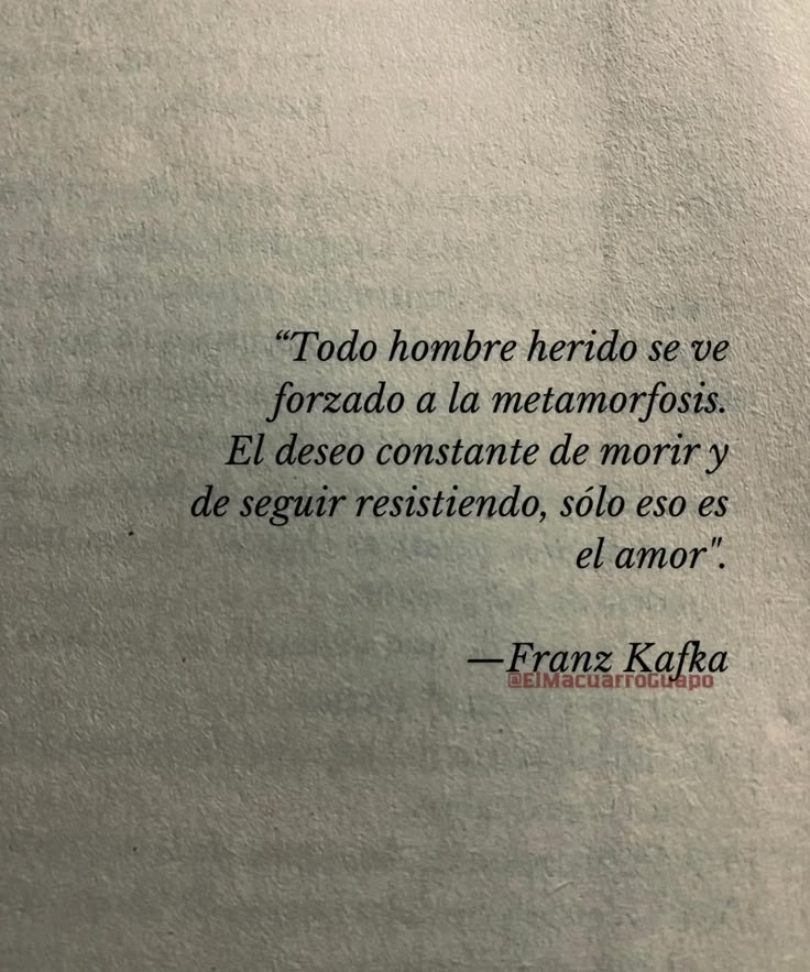 El Estoico | Filosofía (@elartedevivir__) on Twitter photo 