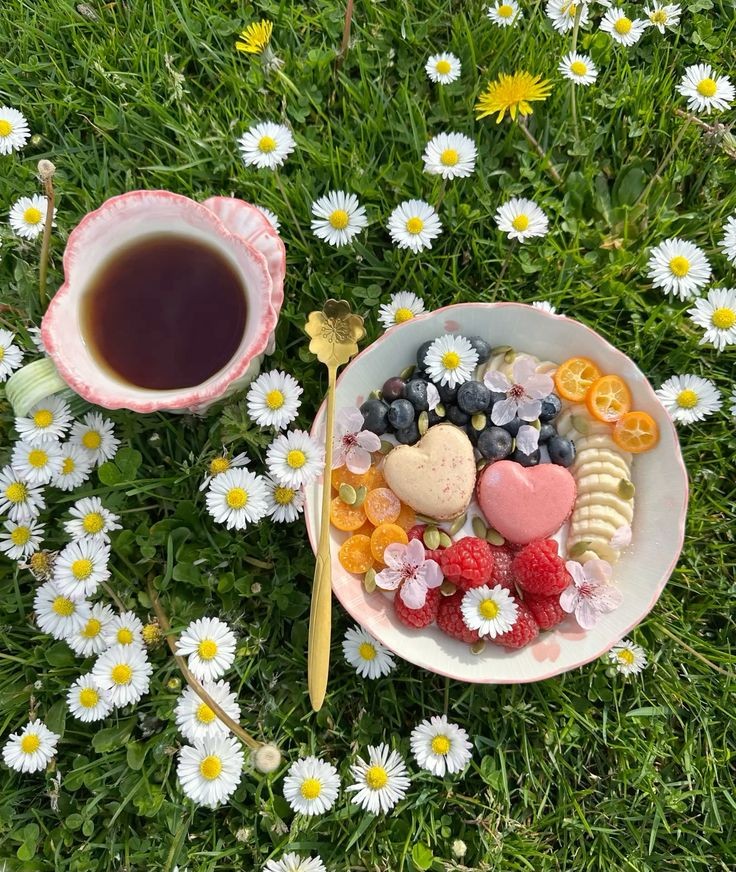 shewearprada's tweet image. Spring is coming 🌿🌷🌸⛅