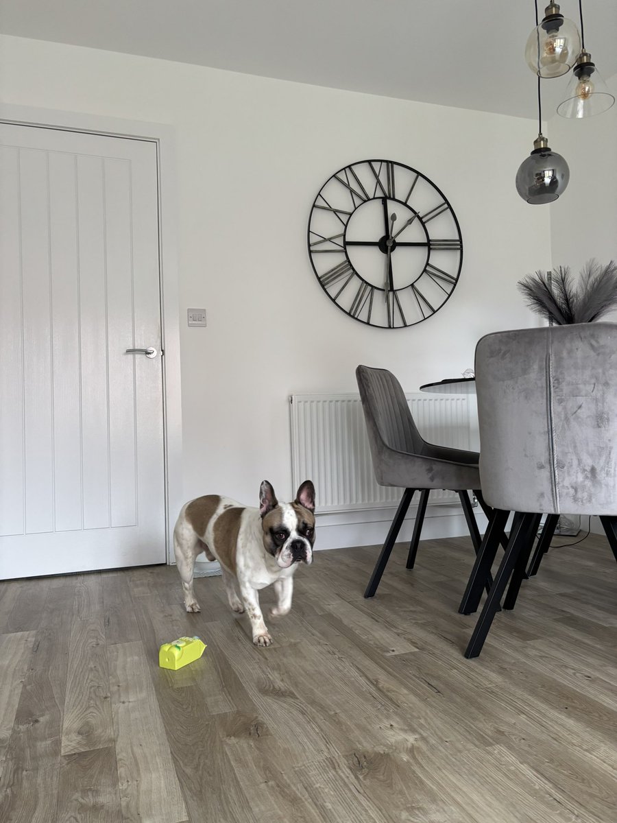 🎀HANNAH🎀 tweet media