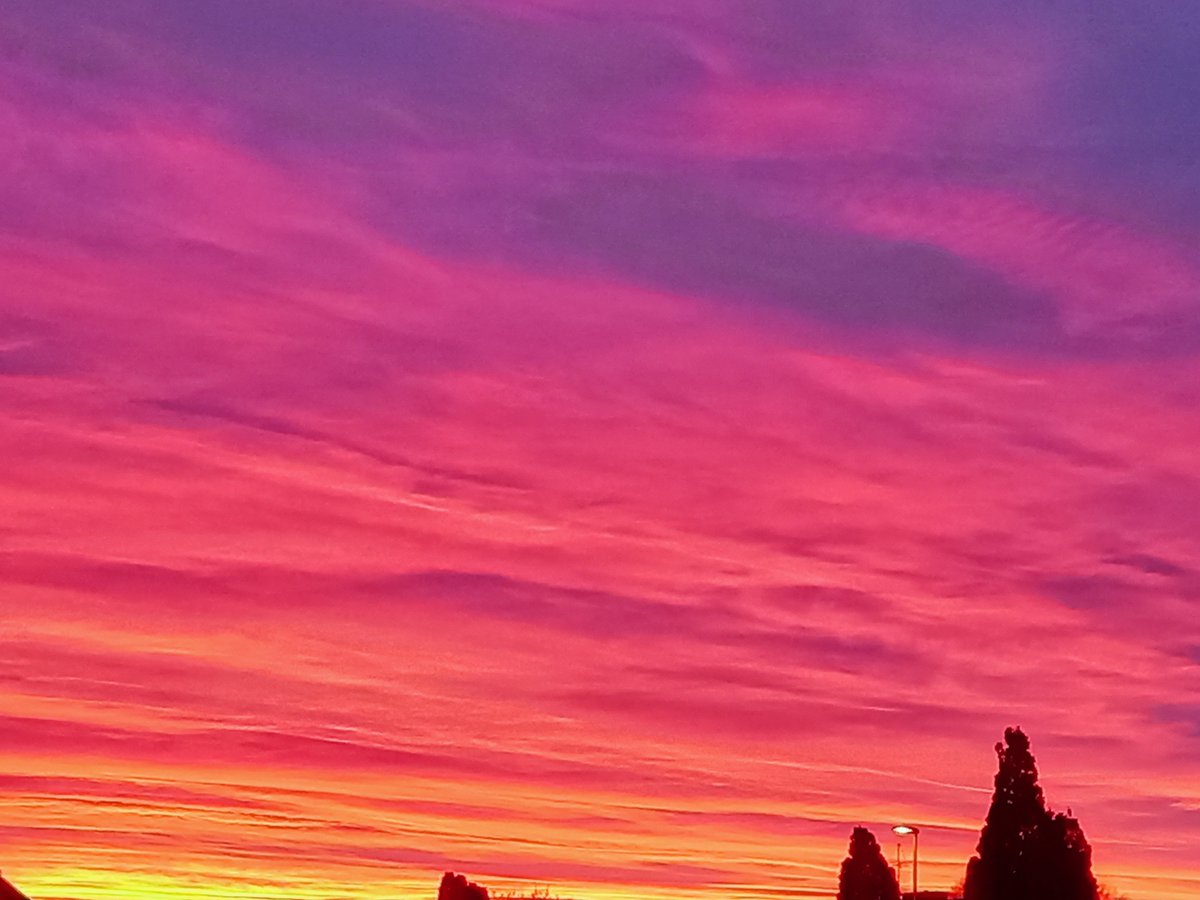 Bull (@warriorbull18) on Twitter photo 