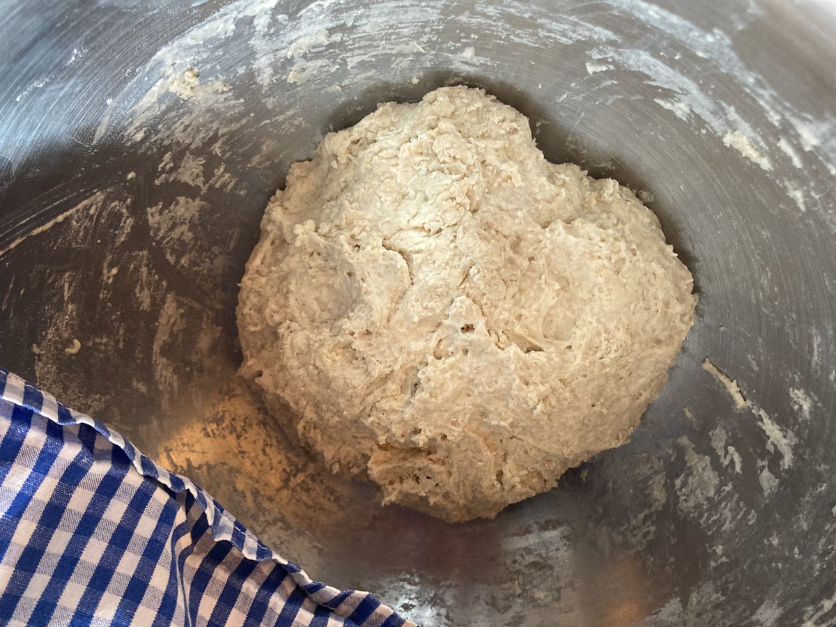 Sitting pretty and just waiting……
Keeping cosy.