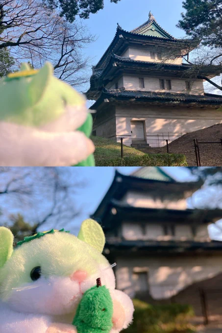 はむかっぱと春の訪れを見に行くなどしたよ 