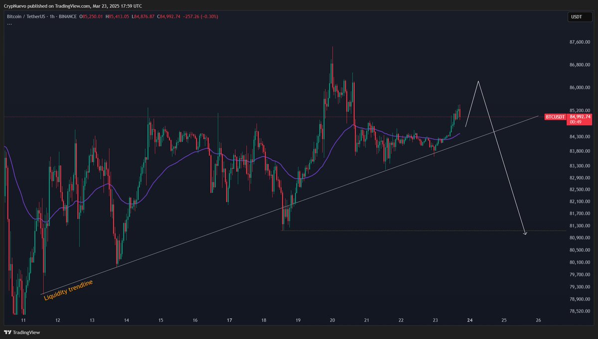 Something like this projection is what I'm looking for.

Yes, there is a support trendline. But there is also a lot of Stop-Losses below it and also the liquidations shown above.

So there is definetely a motive to retrace at least partially this move up/recovery.

Mind the risk.