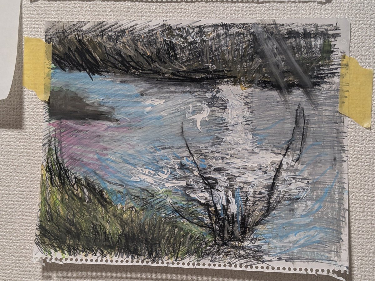 飛ばなかったカモ