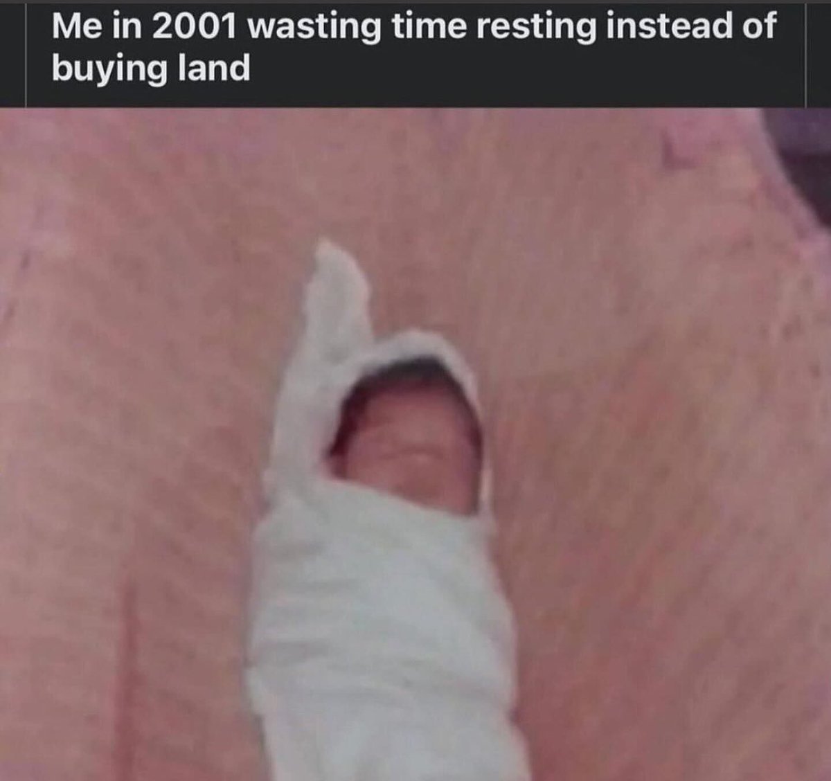 entropy 📯 🪽🐁🪤 tweet media