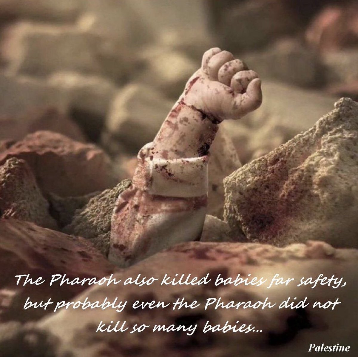 Sahin_Gonul's tweet photo. #StopGenocide 
Firavun da “güvenlik” gerekçesiyle bebekleri öldürmüş, ancak Firavun bile bu kadar çok bebek öldürmemiştir.
#Zionism #Nazism #Palestine #Israel #baby #genocide #ethniccleansing #usa #trump #netanyahu #יִשְׂרָאֵל #Israele #아기 @netanyahu @realDonaldTrump @elonmusk https://t.co/fBIQy7aWrU