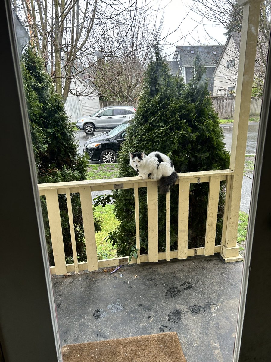 mournfully back in the states but it’s okay because my son is here with me and we both shall soon immigrate to Our Glorious Canada