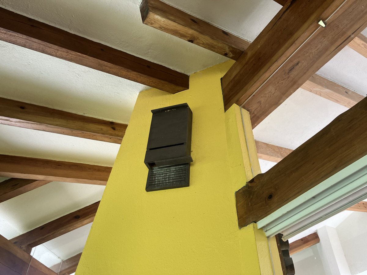 Gloria Estrada tweet media