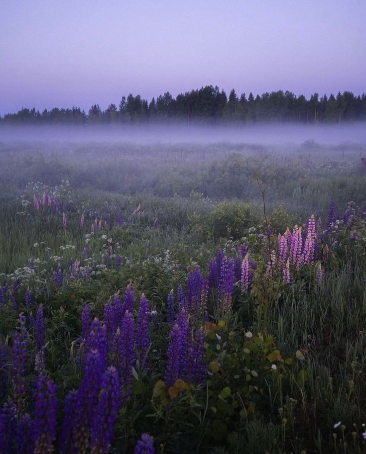 elemmiressoul's tweet image. misty.𖥔 ݁ ˖๋🪻ྀ࿐