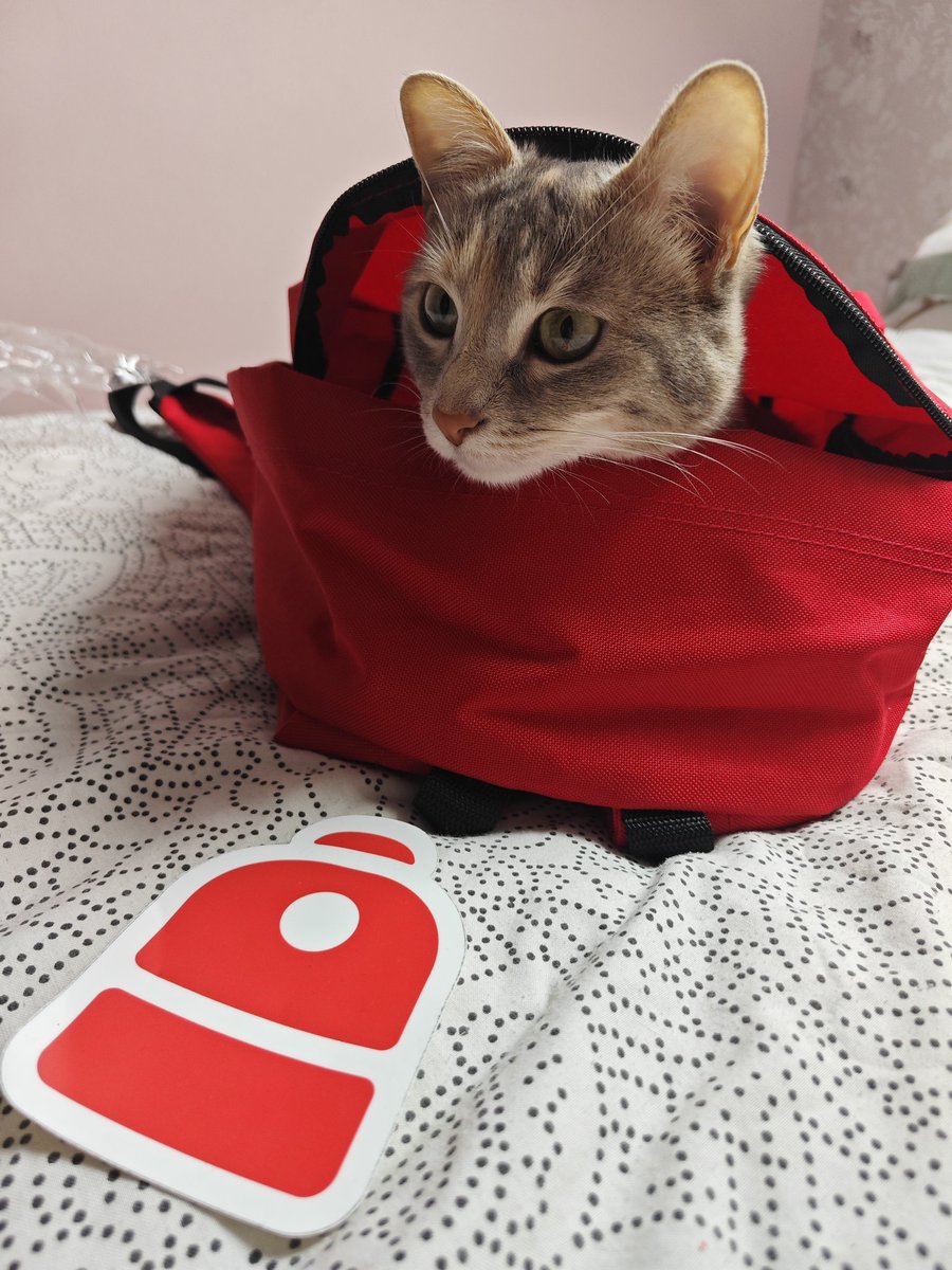 Michi x <a href="/Backpack/">Backpack 🎒</a> ! 😂