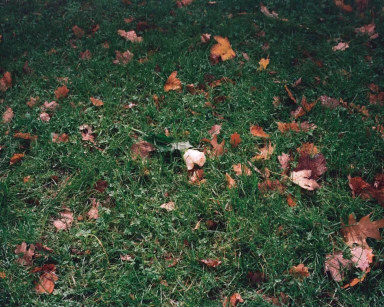 Noch bis zum 29.03. kann man in den Räumen des Kerber Verlags in Berlin die Ausstellung „Was geschehen und nie geschehen ist“ besuchen. 

Weiterführende Informationen zur Ausstellung sind zu finden unter: emop-berlin.eu/exhibition/was…