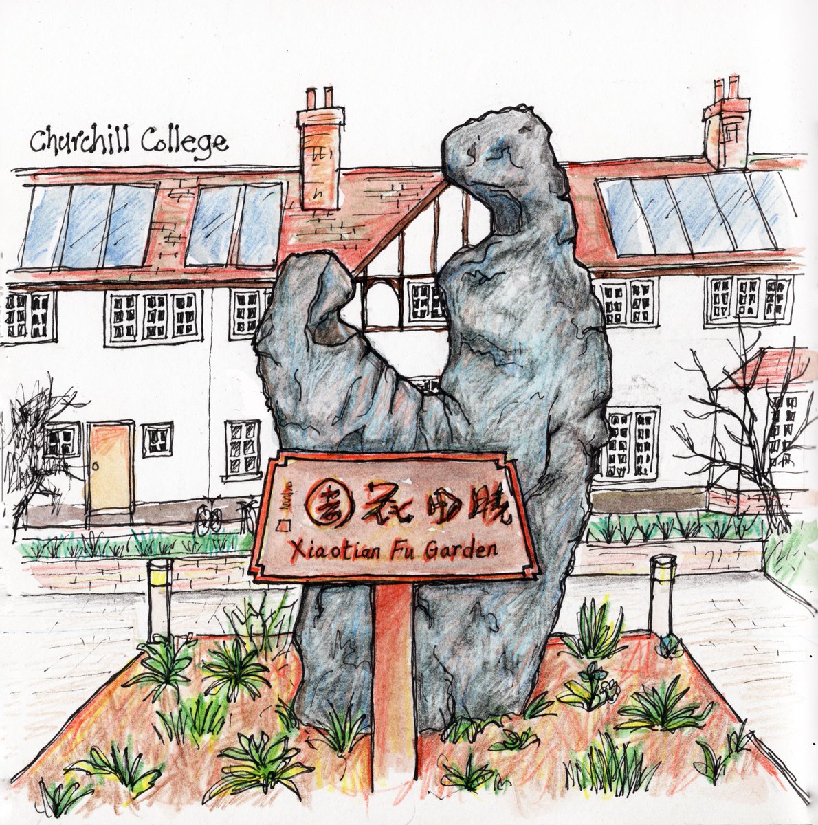 Maureen Mace tweet media