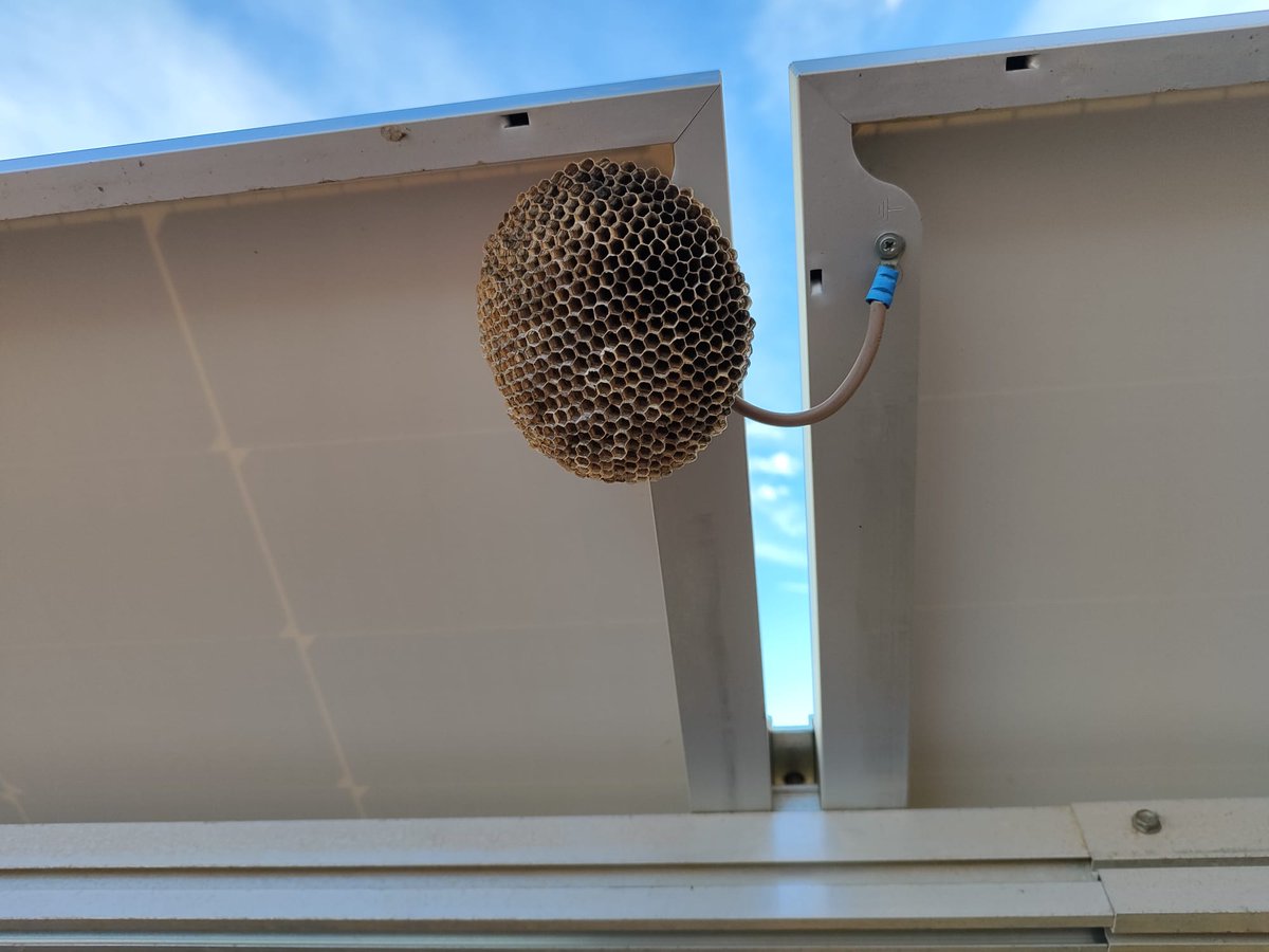 Manu {G²} tweet media