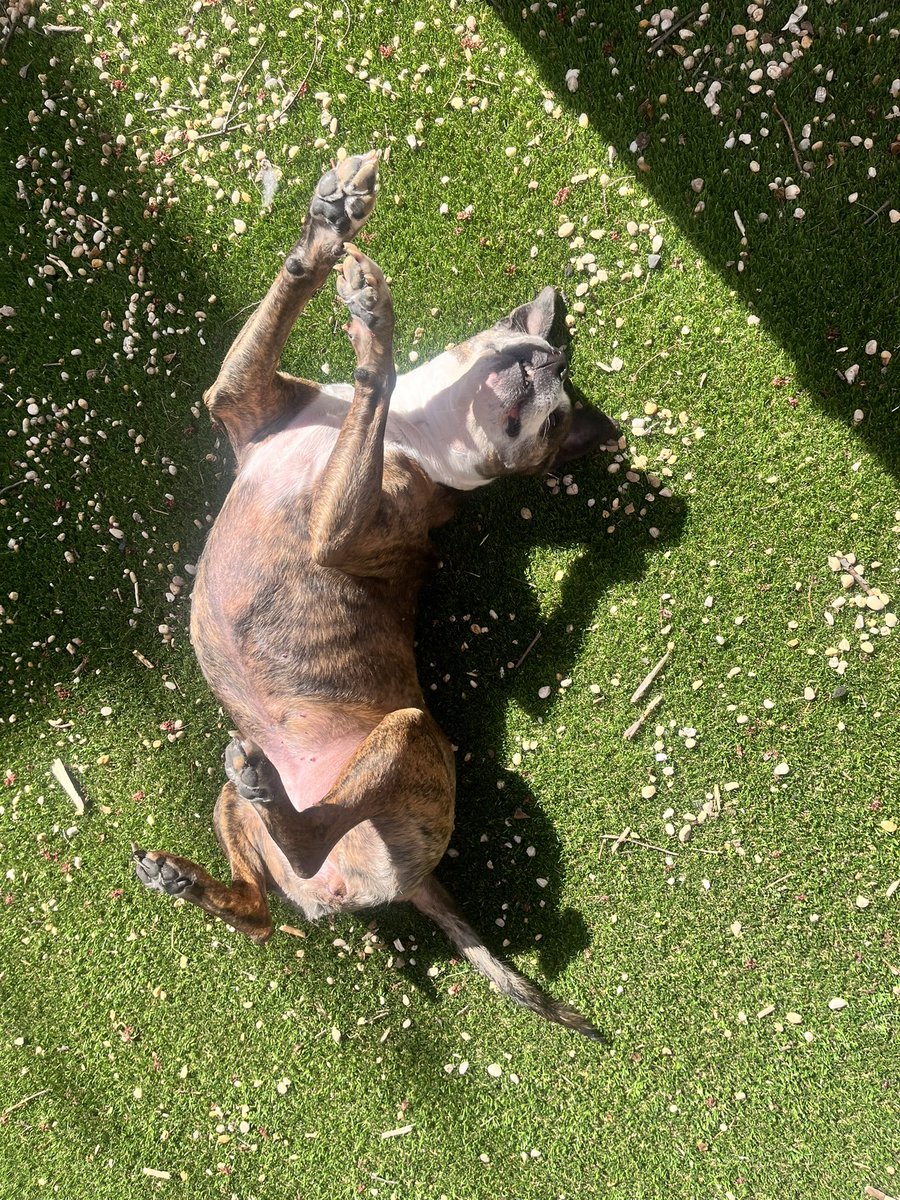 Someone’s happy for spring !