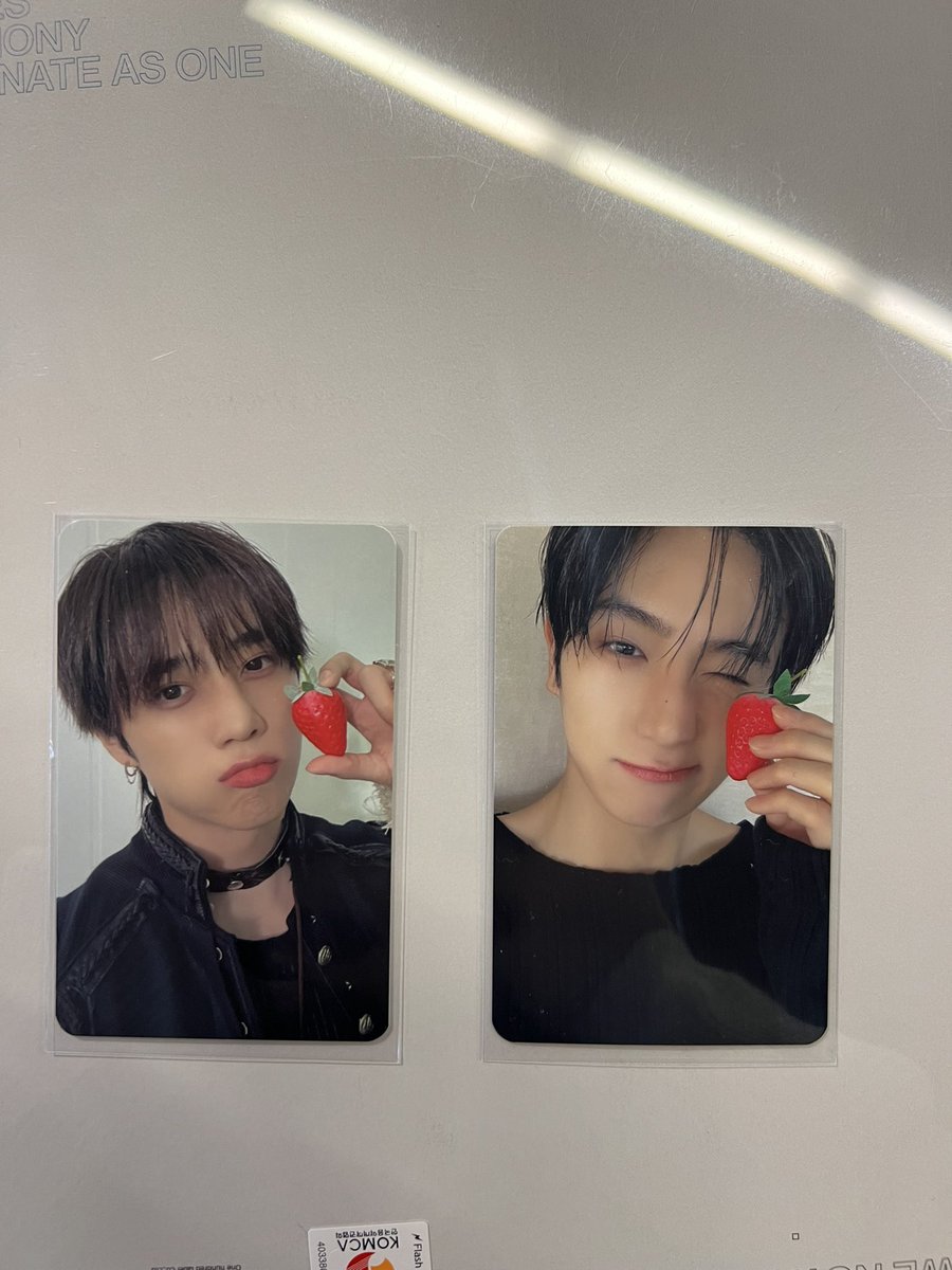 jjddmi's tweet photo. @hello82LA @hello82official 
theboyz pop up in LA😻

#THEBOYZ_POPUP #THEBOYZ #hello82 https://t.co/WSTUIbQsJQ