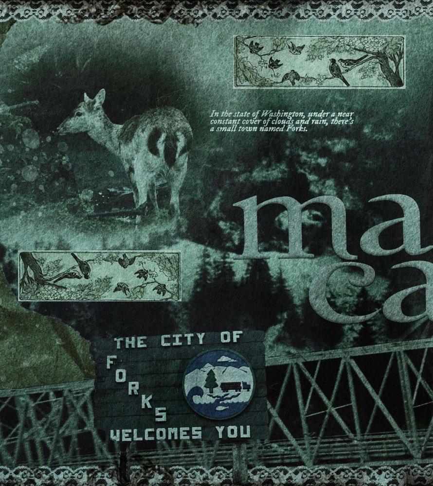 ❦ ‍𝑓ragile ‍ b͟l͟e͟e͟d͟i͟ng ‍heart ‍. tweet media