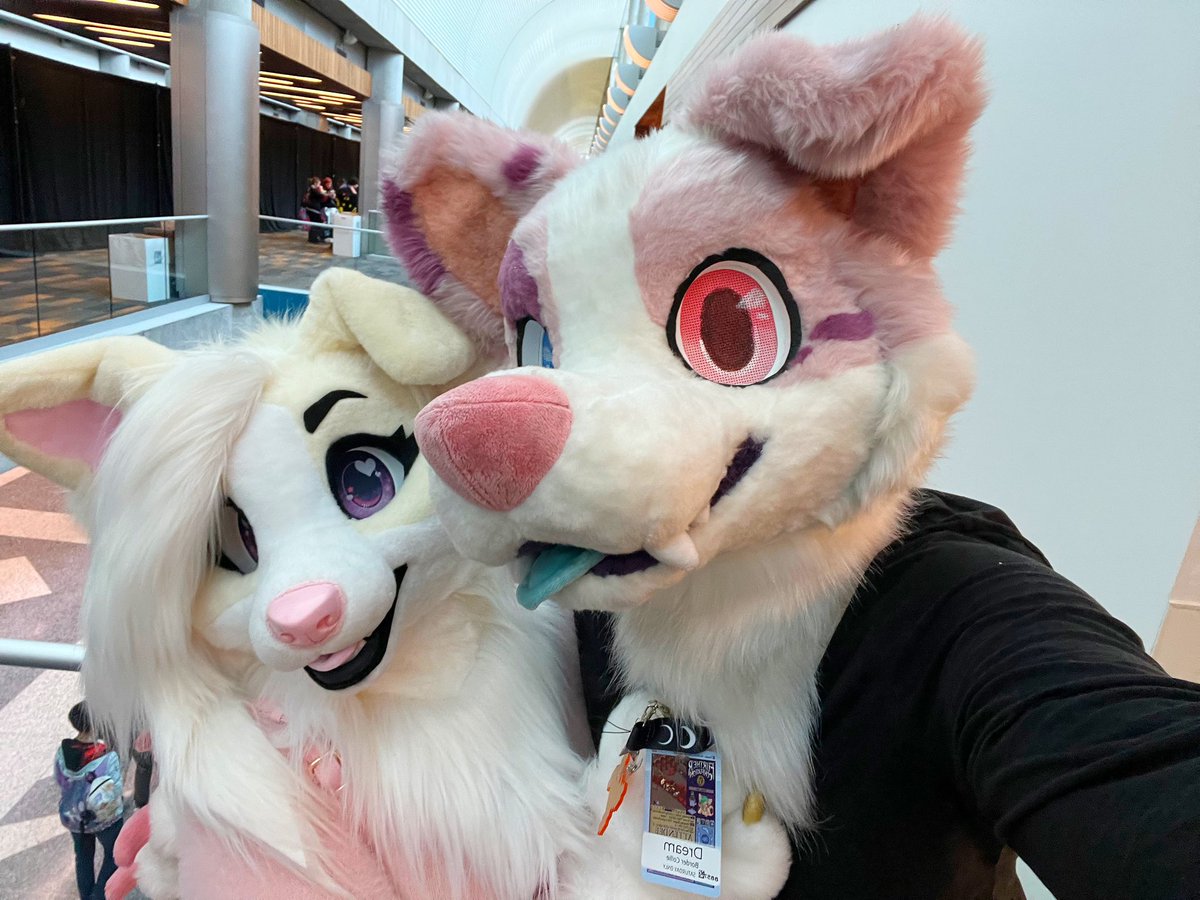 faye 🧸💞 tweet media