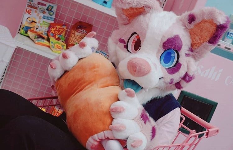 faye 🧸💞 tweet media