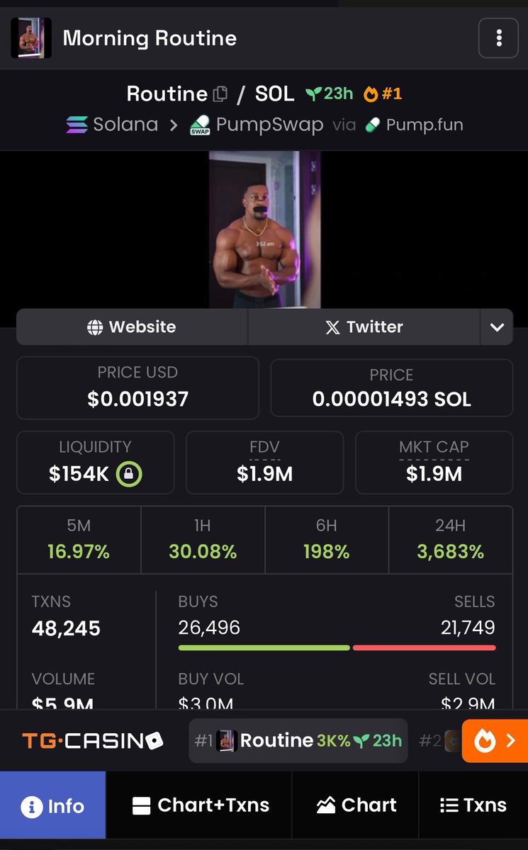 duo_codeweb's tweet image. $Routine Should have aped this and hold my bag !