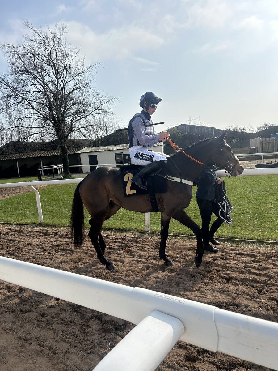 Bel Amigo <a href="/kinneston/">Nick Alexander</a> <a href="/brucelynn0/">Bruce Lynn</a> <a href="/CarlisleRaces/">Carlisle Racecourse</a> 

WINNER 🥇🐎