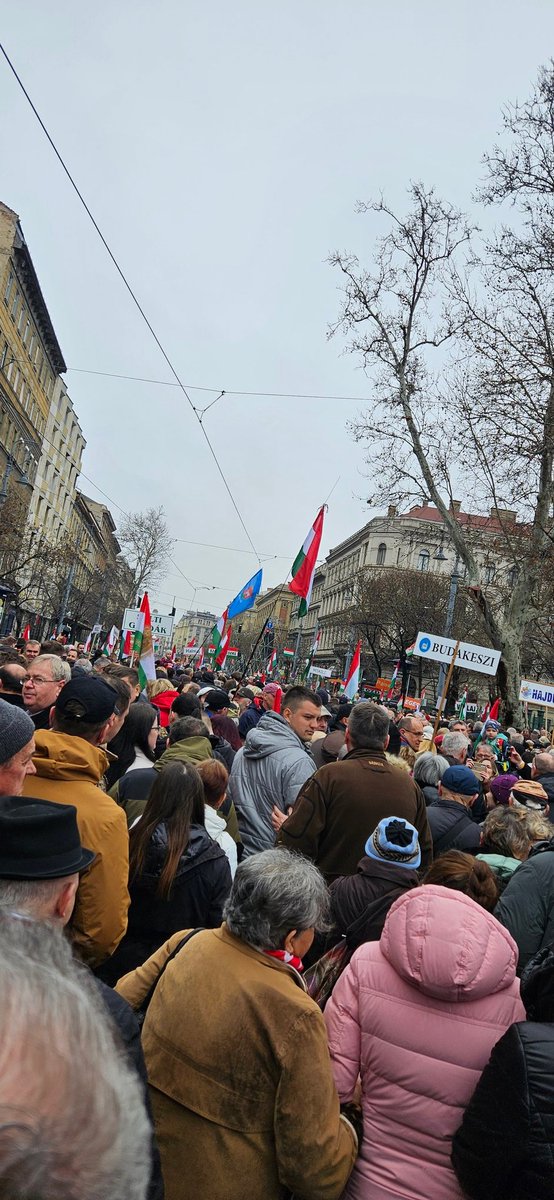 Solongo Sudar tweet media