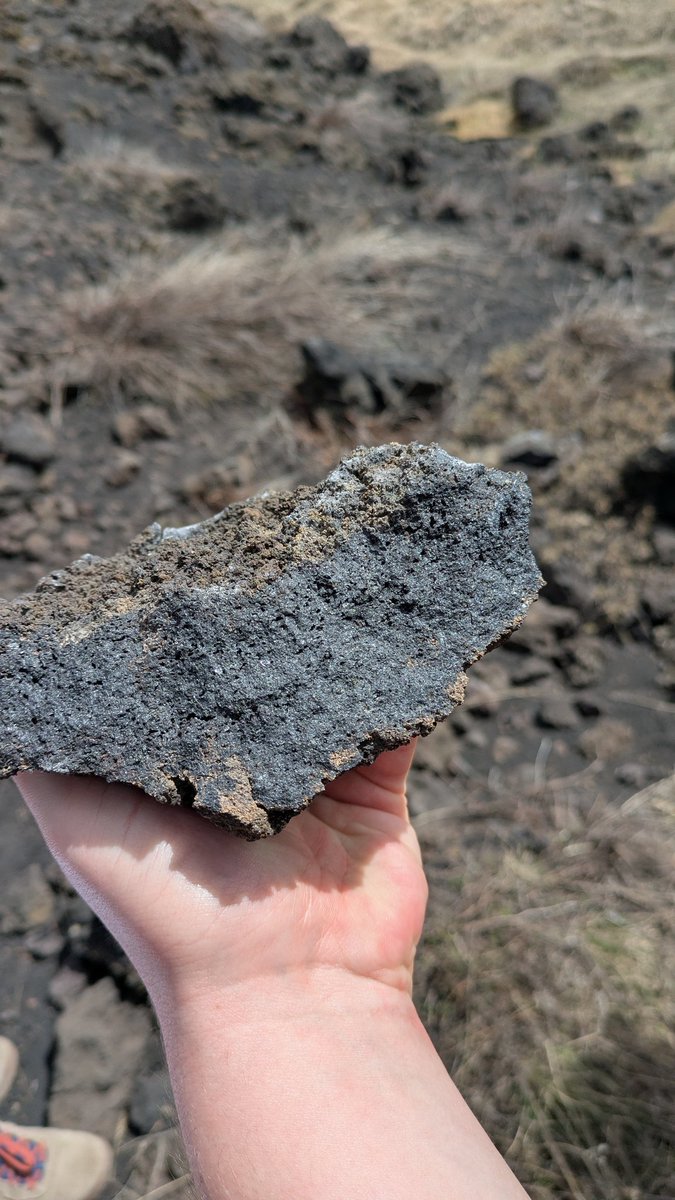 Uni of Brighton - Geography & Environment (@brightonunigeo) on Twitter photo First day of our Geography / Environment field trip to Sicily! 💛♥️ Thanks to expert vulcanologist <a href="/etnaboris/">Boris Behncke</a> for showing us around. Got to hear about Etna's distinct geological profile, and why volcanoes aren't just hazards but also lifegivers for local environments. First day of our Geography / Environment field trip to Sicily! 💛♥️ Thanks to expert vulcanologist <a href="/etnaboris/">Boris Behncke</a> for showing us around. Got to hear about Etna's distinct geological profile, and why volcanoes aren't just hazards but also lifegivers for local environments.