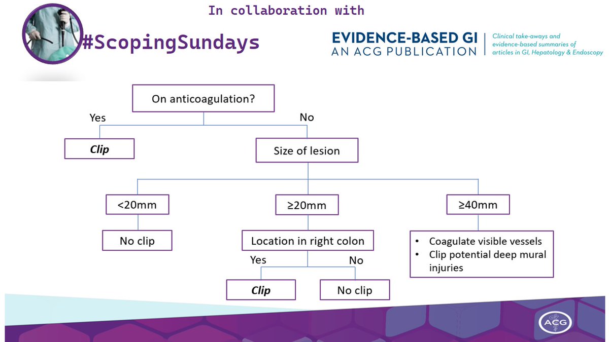 Umer Farooq (@umer446) on Twitter photo <a href="/ScopingSundays/">#ScopingSundays</a> <a href="/ACG_EBGI/">Evidence-Based GI: An ACG Publication (EBGI)</a> <a href="/RomyChamoun/">Romy Chamoun, MD</a> <a href="/BilalMohammadMD/">Mohammad Bilal, MD</a> <a href="/AhmadBazarbashi/">Ahmad Bazarbashi MD أحمد بازارباشي</a> <a href="/RobertoSimonsMD/">Roberto Simons-Linares, MD</a> <a href="/rmulkimd/">Ramzi Mulki, MD</a> <a href="/vaibhav_manu/">Vaibhav Wadhwa</a> <a href="/DrMalSimons/">Malorie Simons</a> <a href="/DCharabaty/">Aline Charabaty, MD, FACG, AGAF</a> <a href="/AdvaniRashmiMD/">Rashmi Advani, MD, ABOM</a> <a href="/JosephHabibi_MD/">Joseph Sleiman, MD, FACP</a> <a href="/AimenKhanMD/">Aimen Farooq</a> 🛟Colonoscopy has evolved to become a very safe and effective procedure‼️
👉Even for larger premalignant polyps❗️
🔍📊Evidence based strategies to prevent bleeding both intra and post-procedure.
Suggested approach👇
#ScopingSundays <a href="/ScopingSundays/">#ScopingSundays</a> <a href="/ACG_EBGI/">Evidence-Based GI: An ACG Publication (EBGI)</a> <a href="/RomyChamoun/">Romy Chamoun, MD</a> <a href="/BilalMohammadMD/">Mohammad Bilal, MD</a> <a href="/AhmadBazarbashi/">Ahmad Bazarbashi MD أحمد بازارباشي</a> <a href="/RobertoSimonsMD/">Roberto Simons-Linares, MD</a> <a href="/rmulkimd/">Ramzi Mulki, MD</a> <a href="/vaibhav_manu/">Vaibhav Wadhwa</a> <a href="/DrMalSimons/">Malorie Simons</a> <a href="/DCharabaty/">Aline Charabaty, MD, FACG, AGAF</a> <a href="/AdvaniRashmiMD/">Rashmi Advani, MD, ABOM</a> <a href="/JosephHabibi_MD/">Joseph Sleiman, MD, FACP</a> <a href="/AimenKhanMD/">Aimen Farooq</a> 🛟Colonoscopy has evolved to become a very safe and effective procedure‼️
👉Even for larger premalignant polyps❗️
🔍📊Evidence based strategies to prevent bleeding both intra and post-procedure.
Suggested approach👇
#ScopingSundays