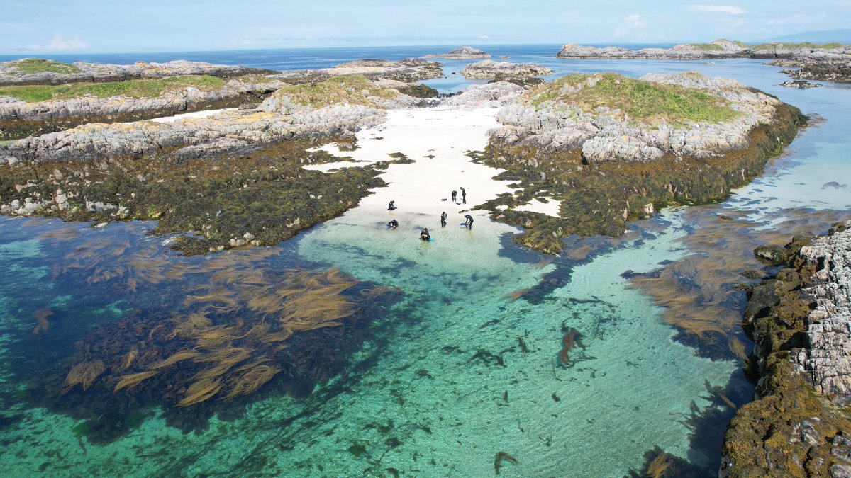 World Meteorological Day ☀️🌤️🌦️⛈️❄️

We get it all on the west coast and there’s not always a pattern to it - we’ve had sun in Feb and snow in June, and usually quite a bit of rain and wind throughout the summer but that’s what makes every tour different 🌬️🌬️