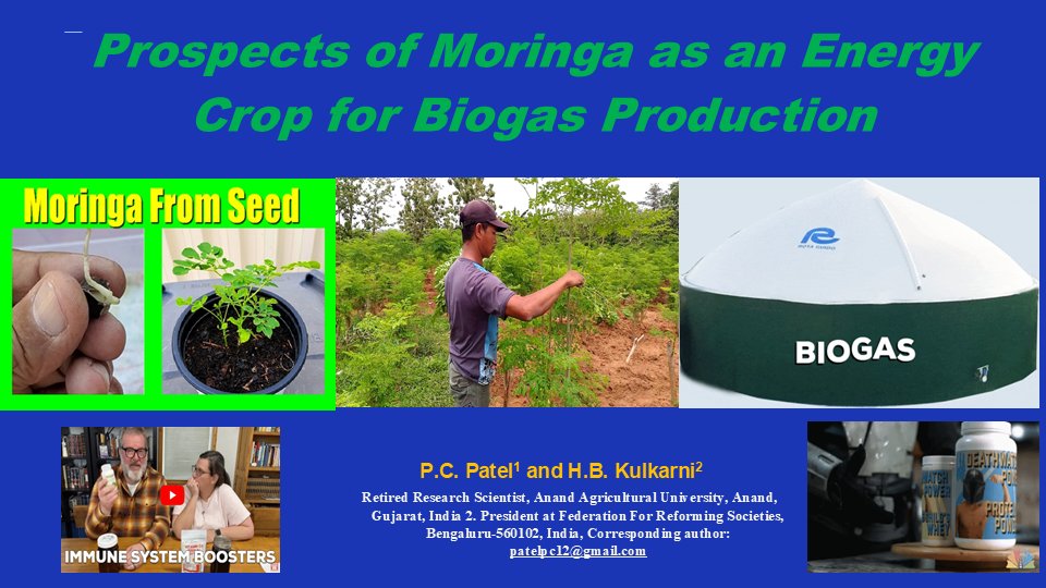 Prospects of Moringa as an Energy Crop for BIO-CNG Production-P.C. Patel and H.B. Kulkarni
Grow Moringa as integrated system, as a food &amp; energy,  one could get annual total income/acre of Rs/20 to Rs.42 lakh, and a net profit of Rs/15-Rs.37 lakh.
YouTube:youtu.be/XYqJ00aeSdU