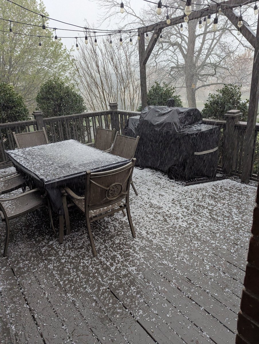 Gene Rapisardi tweet media