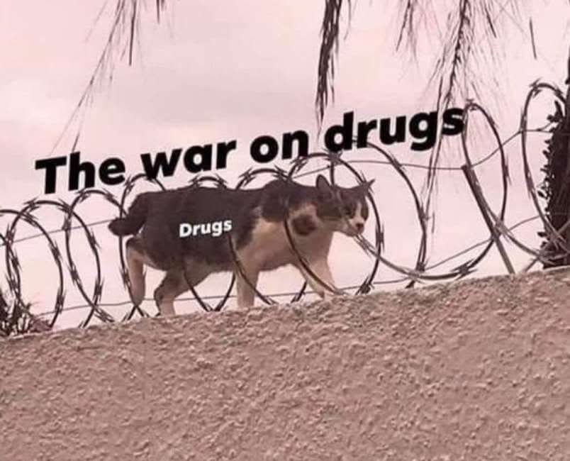 🎯