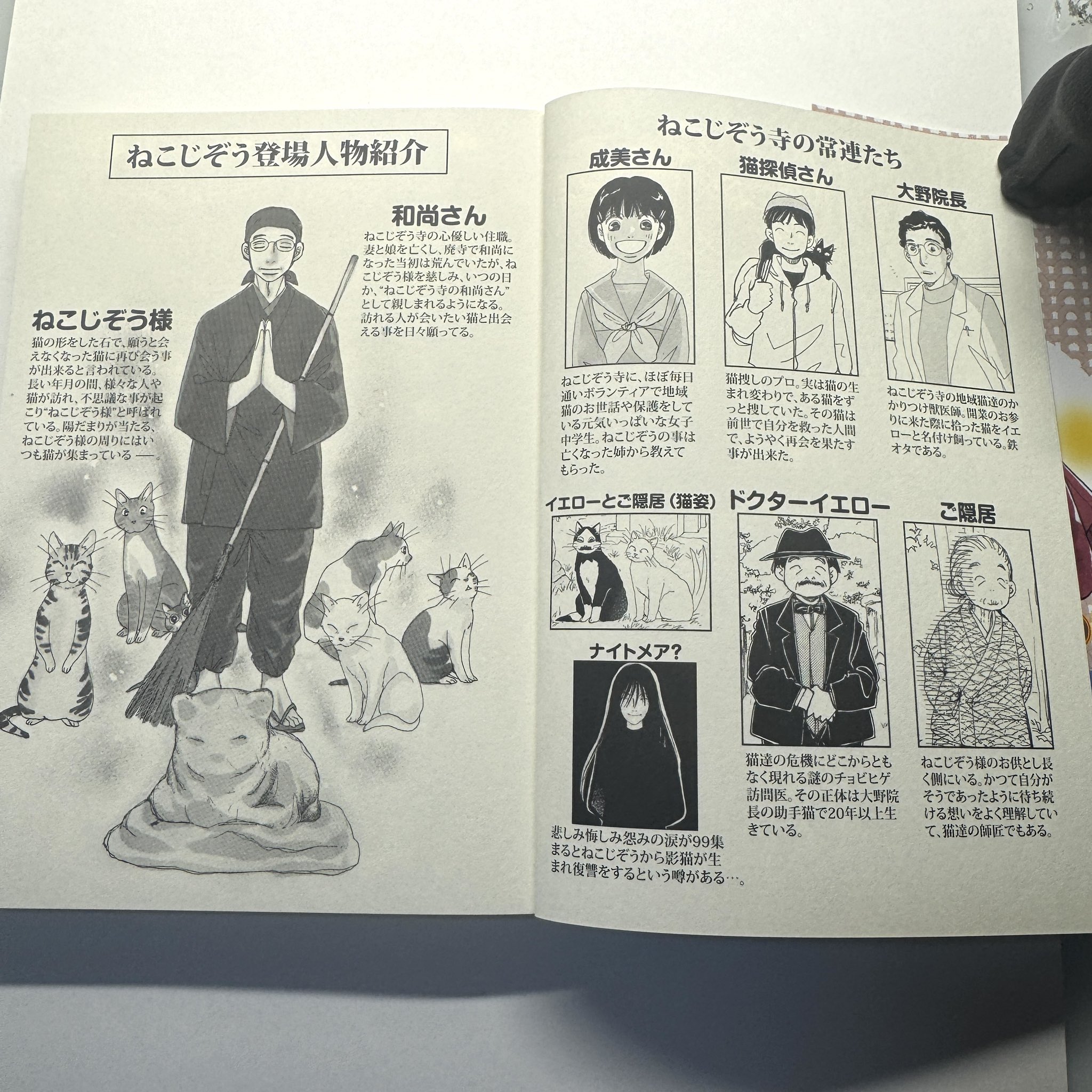 【中古】 特選ねこじぞう　悲しみ越えのヒントが見つかる。/少年画報社/池田さとみ 中古】 特選ねこじぞう 悲しみ越えのヒントが見つかる。/少年画
