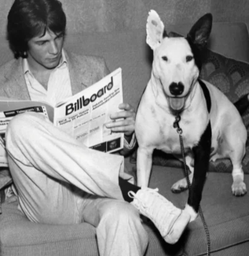 musicstackdaily's tweet photo. Today is National Puppy Day! Here's to remembering Rick Springfield's sweet puppy Ronnie back in 1981. Ronnie was the cover model on two of Rick's albums, and made cameos in his videos.
##rickspringfield #ronniethedog #jessiesgirl #NationalPuppyDay #workingclassdog #pupsofx https://t.co/Yau5uW23nr