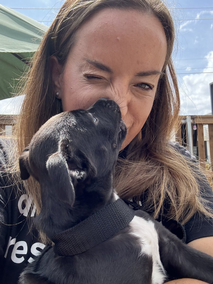 If I could bottle puppy breath and send it to all my colleagues struggling right now, I would in a heartbeat.