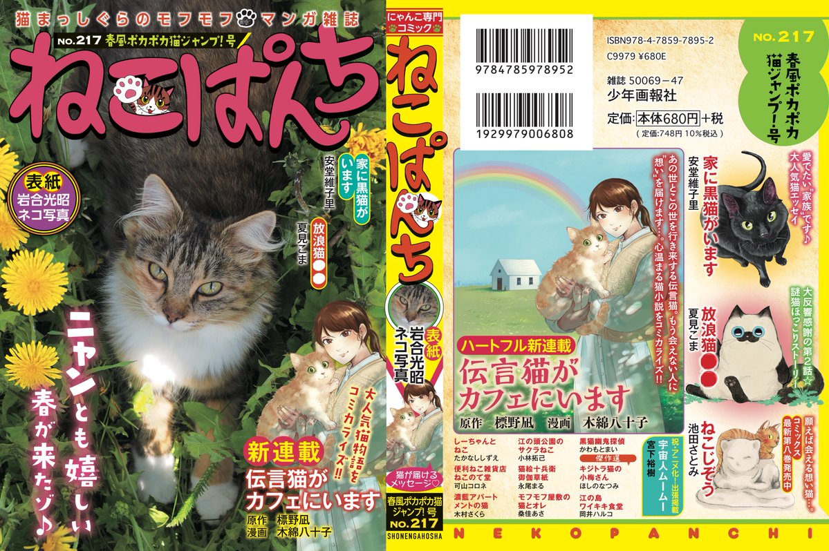 【中古】 ねこぱんち Ｎｏ．１４５/少年画報社 ねこぱんち 紅葉ながめるネコのしっぽ号 (にゃんCOMI