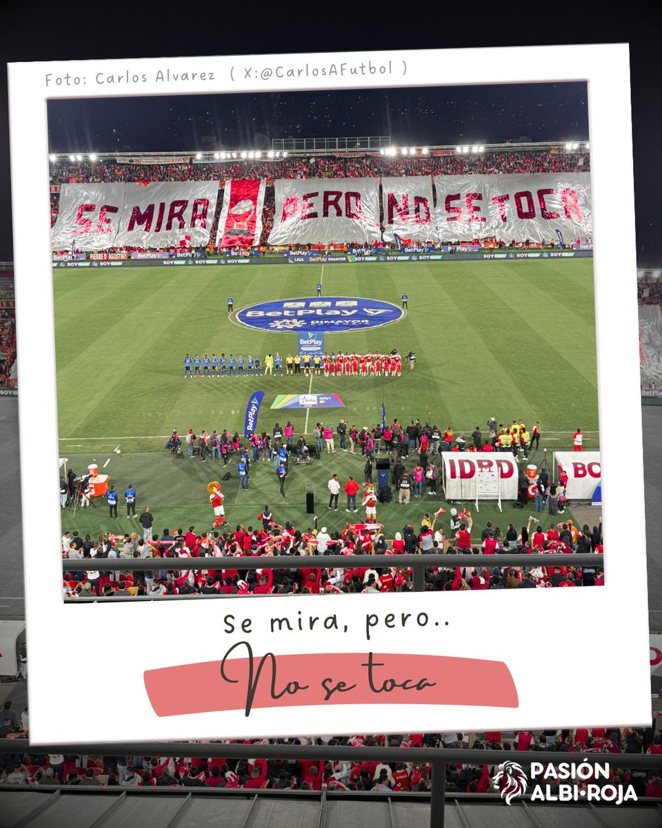 Pasión Albi Roja |🇮🇩 tweet media