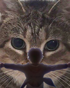 magnolia tweet media