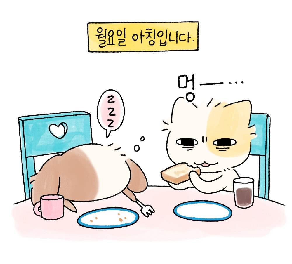 묘냥이와 멍구 (@myo_n_meong) on Twitter photo 