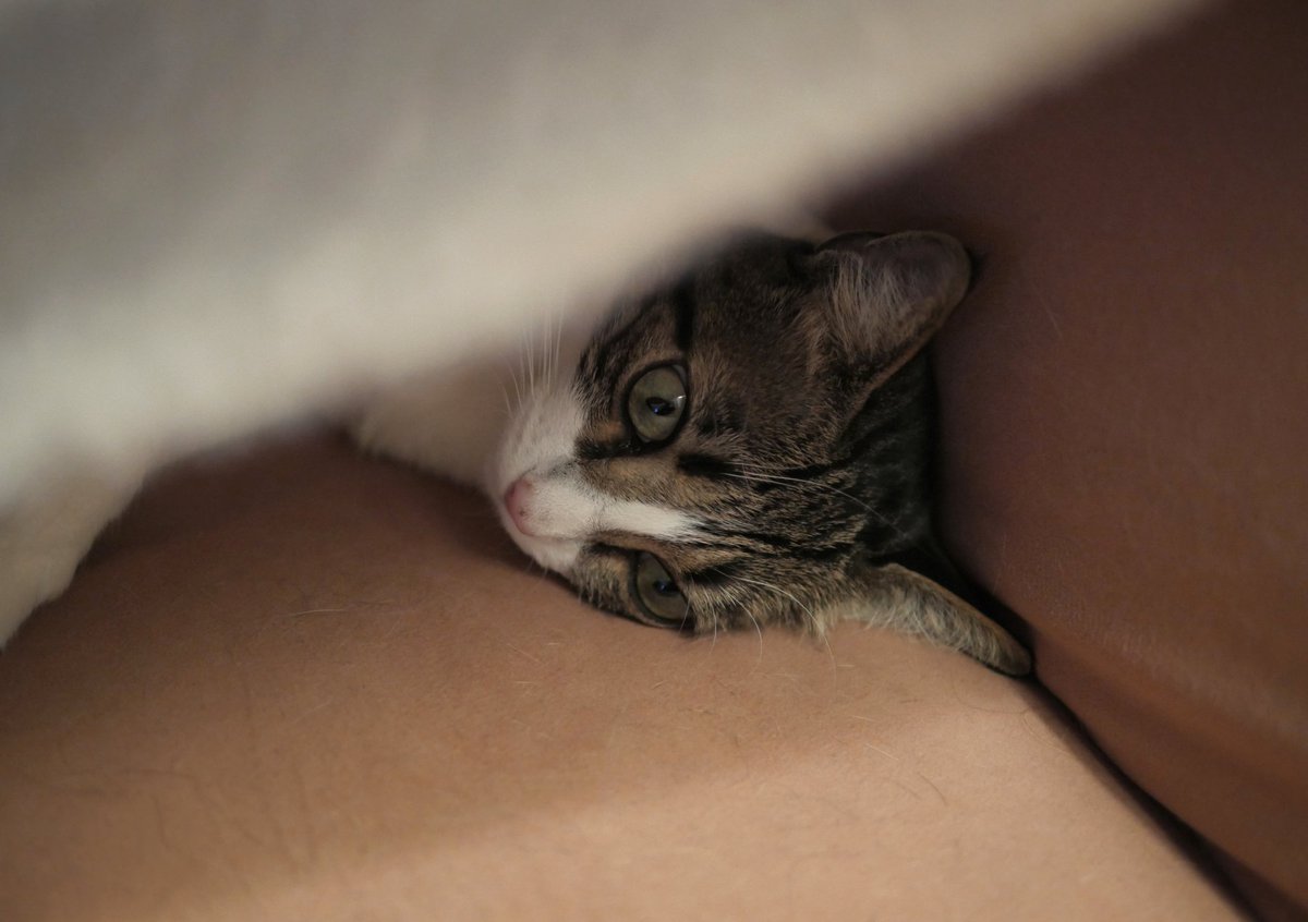 Llegar así al final del domingo