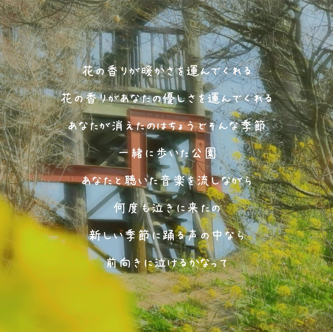 菜の花の中で

 #綿帽子のキリトリ世界
 #写真でポエム
 #詩  #ポエム
 #自死遺族